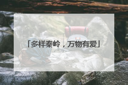 多样秦岭，万物有爱