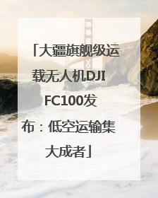大疆旗舰级运载无人机DJI FC100发布：低空运输集大成者