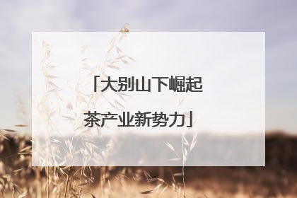 大别山下崛起茶产业新势力