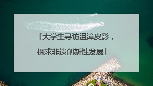 大学生寻访沮漳皮影，探求非遗创新性发展