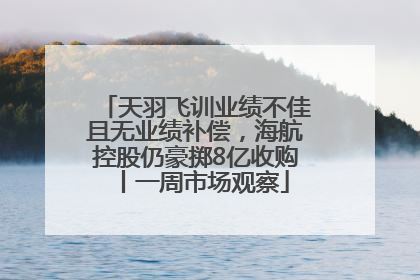 天羽飞训业绩不佳且无业绩补偿，海航控股仍豪掷8亿收购丨一周市场观察