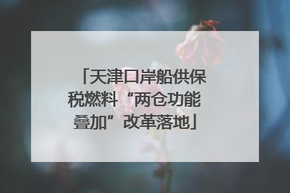 天津口岸船供保税燃料“两仓功能叠加”改革落地