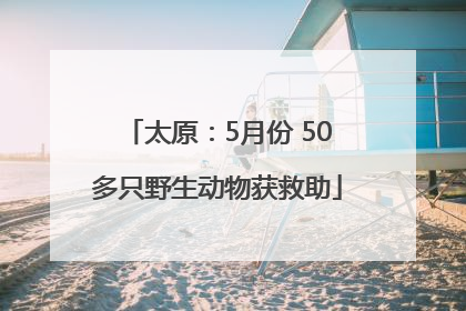 太原：5月份 50多只野生动物获救助