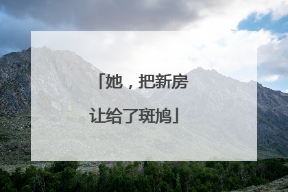 她，把新房让给了斑鸠