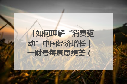 如何理解“消费驱动”中国经济增长｜一财号每周思想荟（第22期）