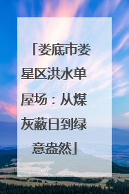 娄底市娄星区洪水单屋场：从煤灰蔽日到绿意盎然