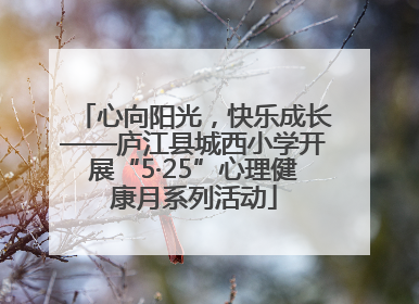 心向阳光，快乐成长——庐江县城西小学开展“5·25”心理健康月系列活动