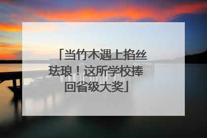 当竹木遇上掐丝珐琅！这所学校捧回省级大奖