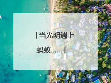 当光明遇上蚂蚁……