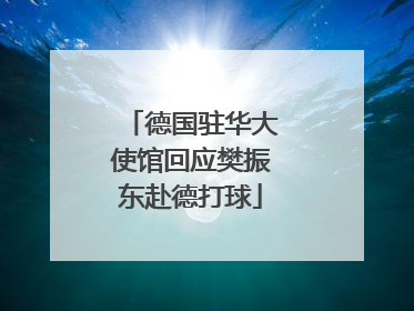 德国驻华大使馆回应樊振东赴德打球