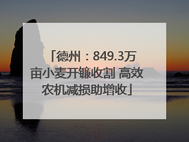德州：849.3万亩小麦开镰收割 高效农机减损助增收