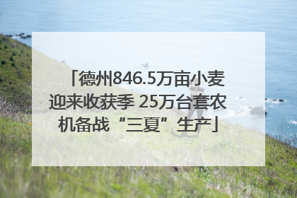 德州846.5万亩小麦迎来收获季 25万台套农机备战“三夏”生产