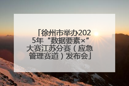 徐州市举办2025年“数据要素×”大赛江苏分赛（应急管理赛道）发布会