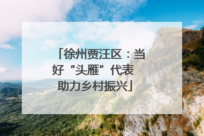 徐州贾汪区：当好“头雁”代表 助力乡村振兴