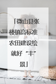 微山县张楼镇高标准农田建设绘就好“丰”景