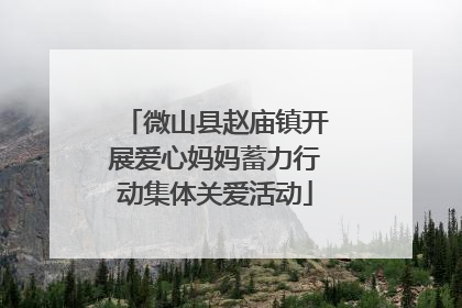 微山县赵庙镇开展爱心妈妈蓄力行动集体关爱活动