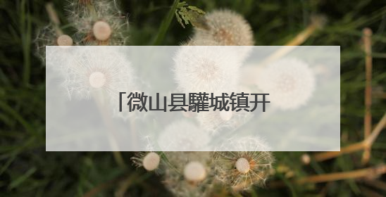 微山县驩城镇开展农产品质量安全抽样检测工作