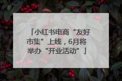 小红书电商“友好市集”上线，6月将举办“开业活动”
