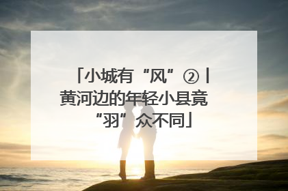 小城有“风”②丨黄河边的年轻小县竟“羽”众不同