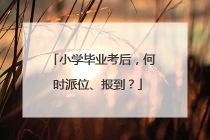 小学毕业考后，何时派位、报到？
