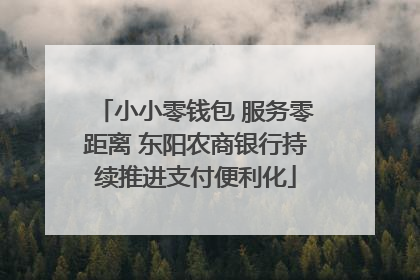 小小零钱包 服务零距离 东阳农商银行持续推进支付便利化