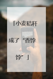 小麦秸秆成了“香饽饽”