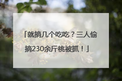 就摘几个吃吃？三人偷摘230余斤桃被抓！