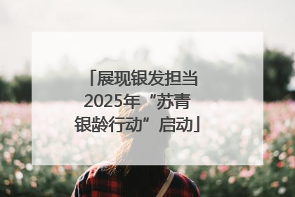 展现银发担当 2025年“苏青银龄行动”启动