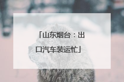 山东烟台：出口汽车装运忙