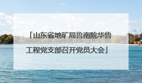 山东省地矿局鲁南院华鲁工程党支部召开党员大会