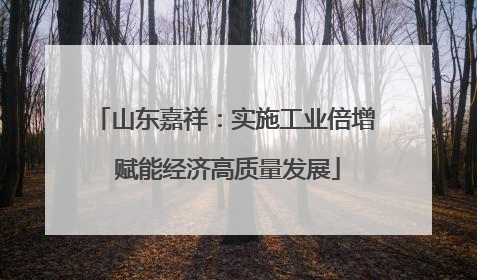 山东嘉祥：实施工业倍增 赋能经济高质量发展