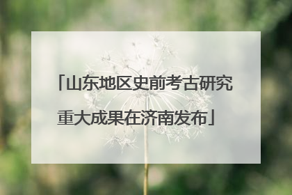 山东地区史前考古研究重大成果在济南发布