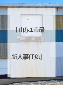 山东1市最新人事任免