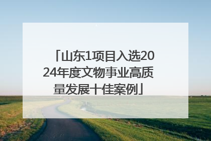 山东1项目入选2024年度文物事业高质量发展十佳案例