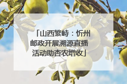 山西繁峙：忻州邮政开展溯源直播活动助杏农增收