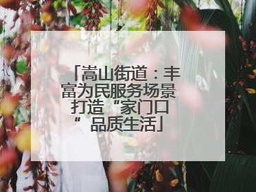 嵩山街道：丰富为民服务场景 打造“家门口”品质生活