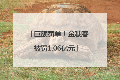 巨额罚单！金穗春被罚1.06亿元