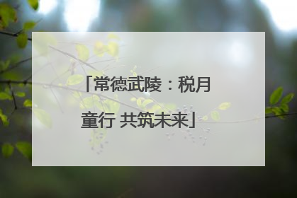 常德武陵：税月童行 共筑未来