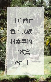 广西百色：民族村寨里的 “致富鸡”