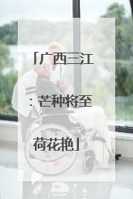 广西三江：芒种将至荷花艳