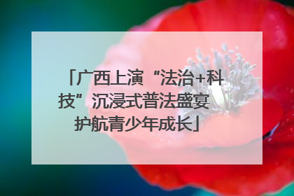 广西上演“法治+科技”沉浸式普法盛宴 护航青少年成长