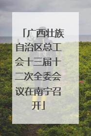 广西壮族自治区总工会十三届十二次全委会议在南宁召开