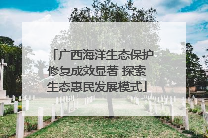 广西海洋生态保护修复成效显著 探索生态惠民发展模式