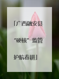 广西融安县“硬核”监管护航春耕
