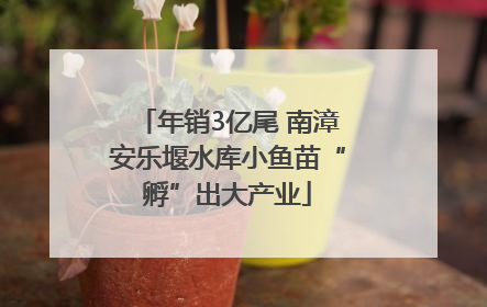 年销3亿尾 南漳安乐堰水库小鱼苗“孵”出大产业