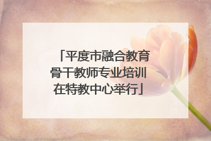 平度市融合教育骨干教师专业培训在特教中心举行