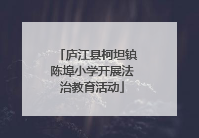 庐江县柯坦镇陈埠小学开展法治教育活动