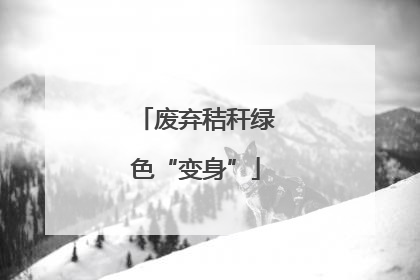 废弃秸秆绿色“变身”