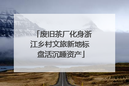 废旧茶厂化身浙江乡村文旅新地标 盘活沉睡资产