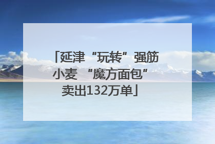 延津“玩转”强筋小麦 “魔方面包”卖出132万单